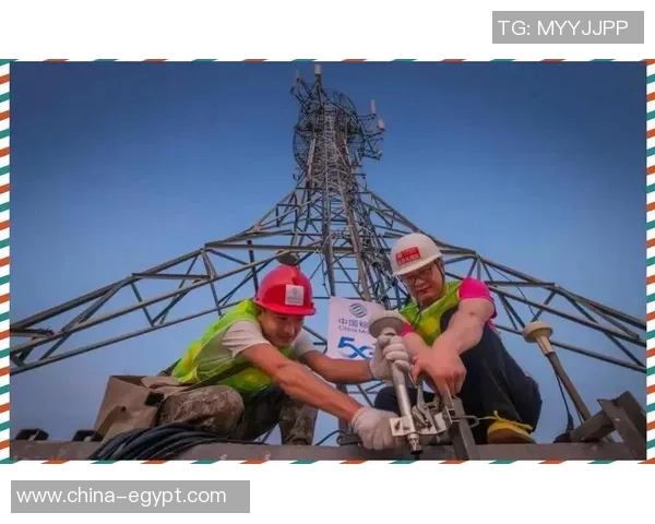 武汉篮球队的华丽转身与未来展望：从传统强队到现代化竞技新标杆